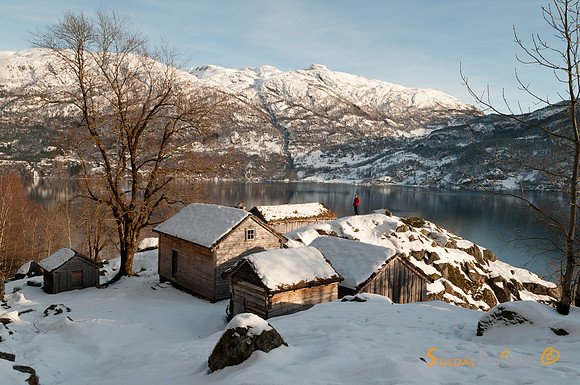 Røynevarden
