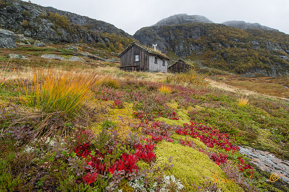 Rypebær
