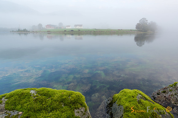 Morgontåke