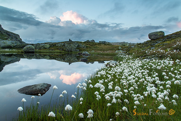 Kveld ved snøulltjernet
