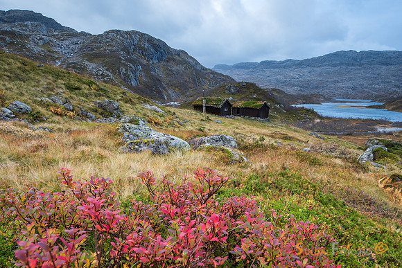 011017_ja_lun394-362-Edit