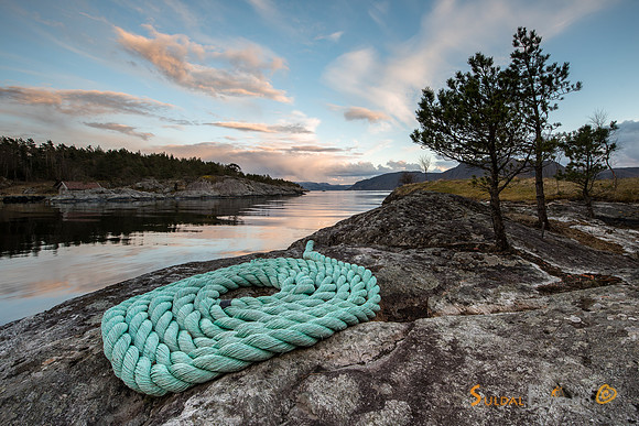 Frå Barkelandsvågen, Jelsa