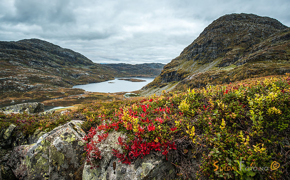 Haustfjell. Svinstølvatnet i Suldalsheiane.