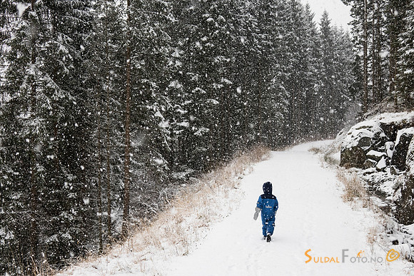 Sebastian på tur i snøværet