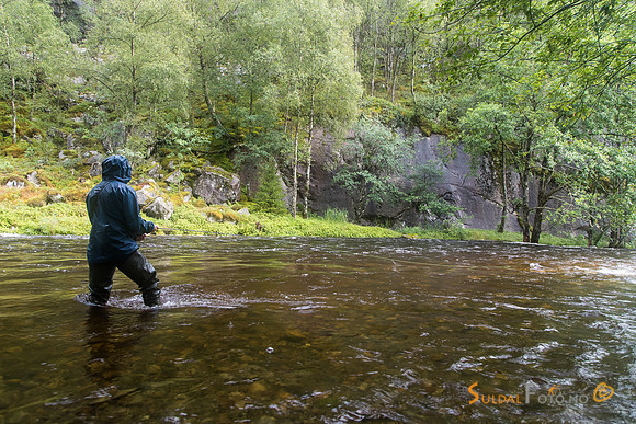 Laksefiske i Hålandselva