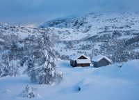 Ås ved Gullingen.