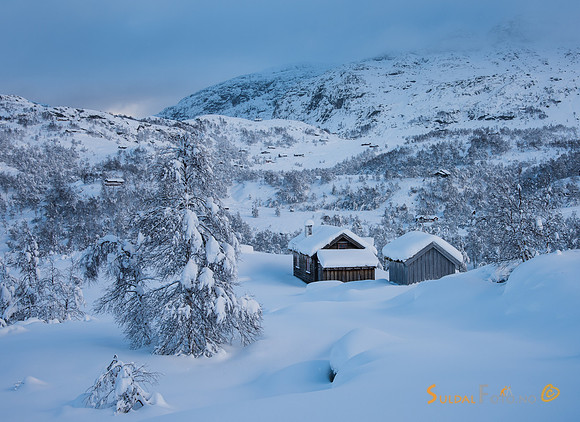 Ås ved Gullingen.