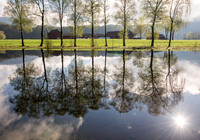 Speilbilde