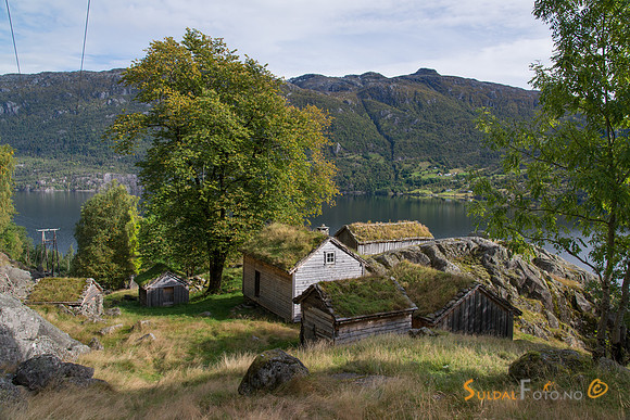 Frå Røynevarden