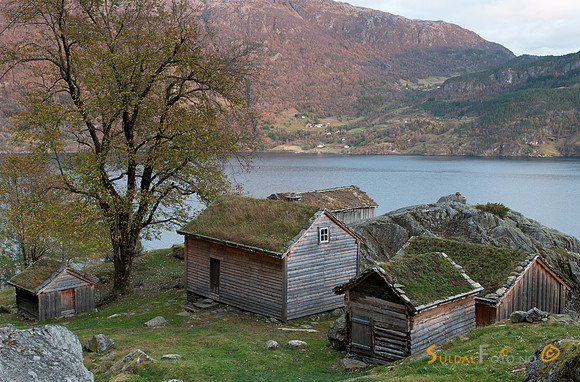 Røynevarden