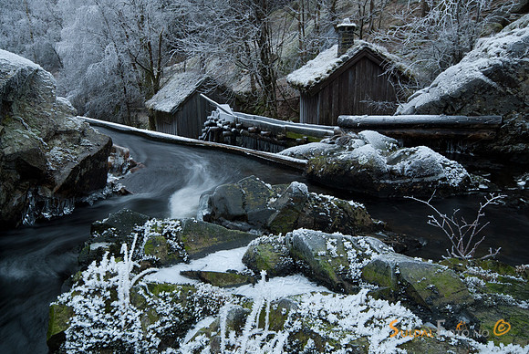 Kvednahola