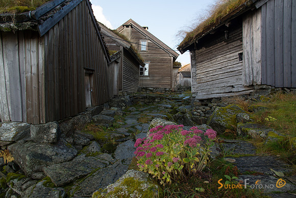 Litunet, Ryfylkemuseet