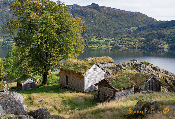 Frå Røynevarden