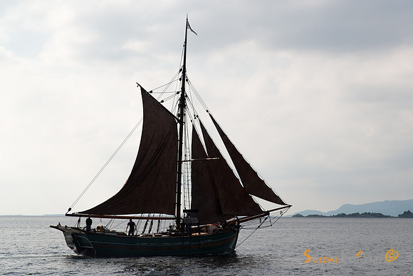 Brødrene af Sand (Ryfylkemuseet)