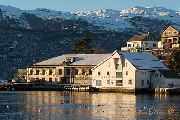 Nesasjøhuset, Ryfylkemuseet