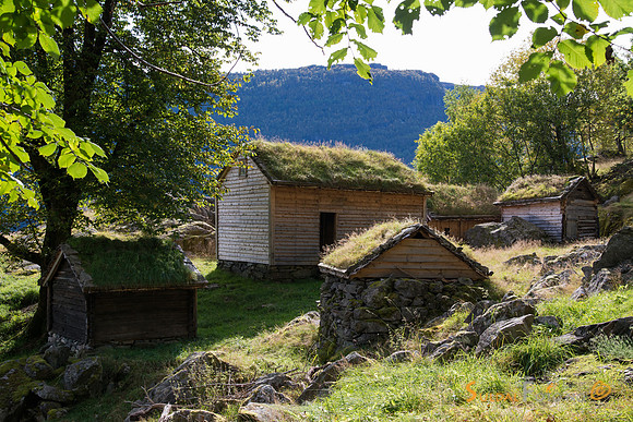Frå Røynevarden