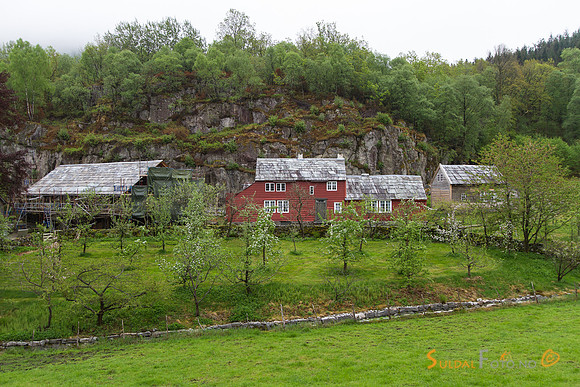 Viga i Hjelmeland