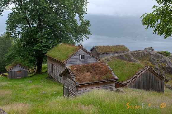 Røynevarden