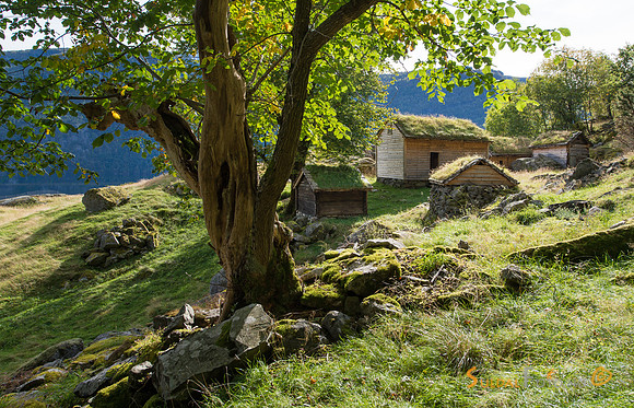 Frå Røynevarden