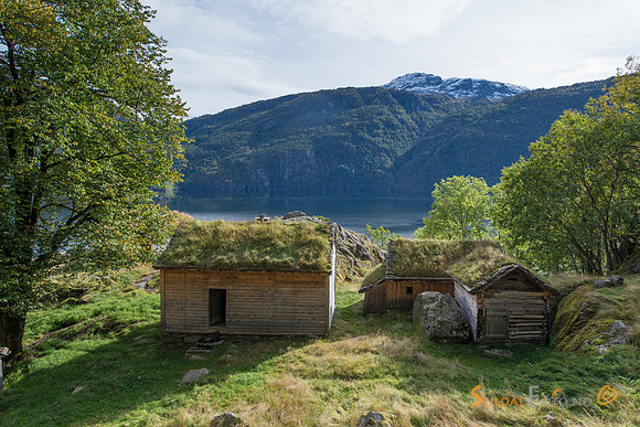 Frå Røynevarden