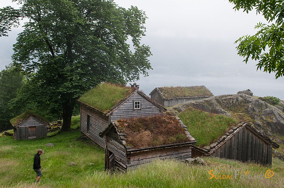 Røynevarden