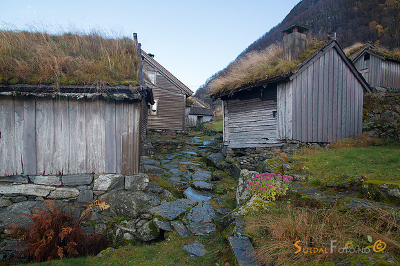 Litunet, Ryfylkemuseet