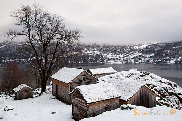 Røynevarden