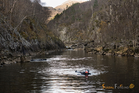 Snorkling i Ulla