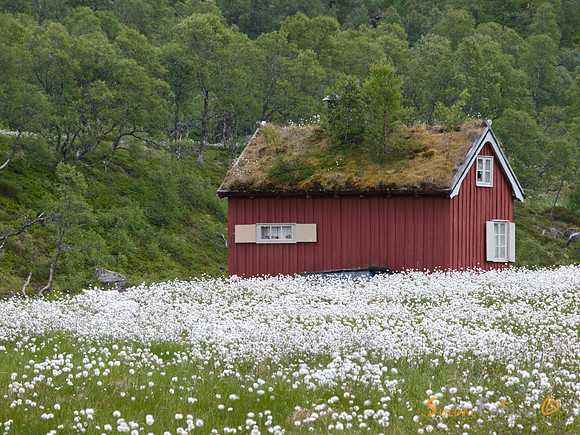Breidastølen