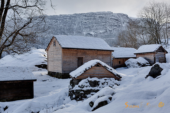 Røynevarden vinter