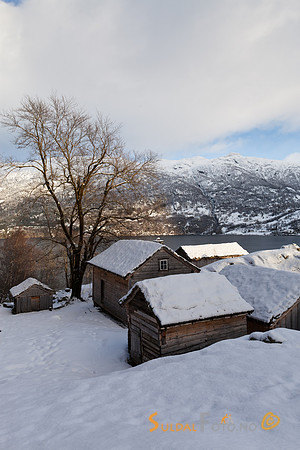 Røynevarden vinter
