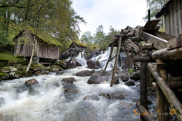 Kvednahola