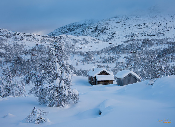 Ås ved Gullingen.