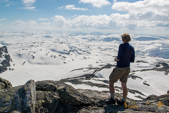 Frå Snønuten
