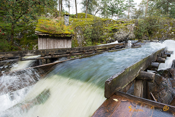 Kvednahola