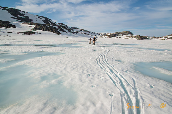 Vårskitur