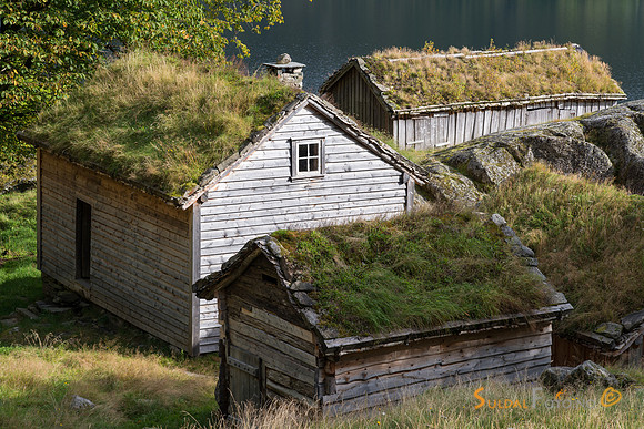 Røynevarden