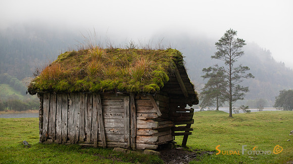 Høyløe i haustver, Førland